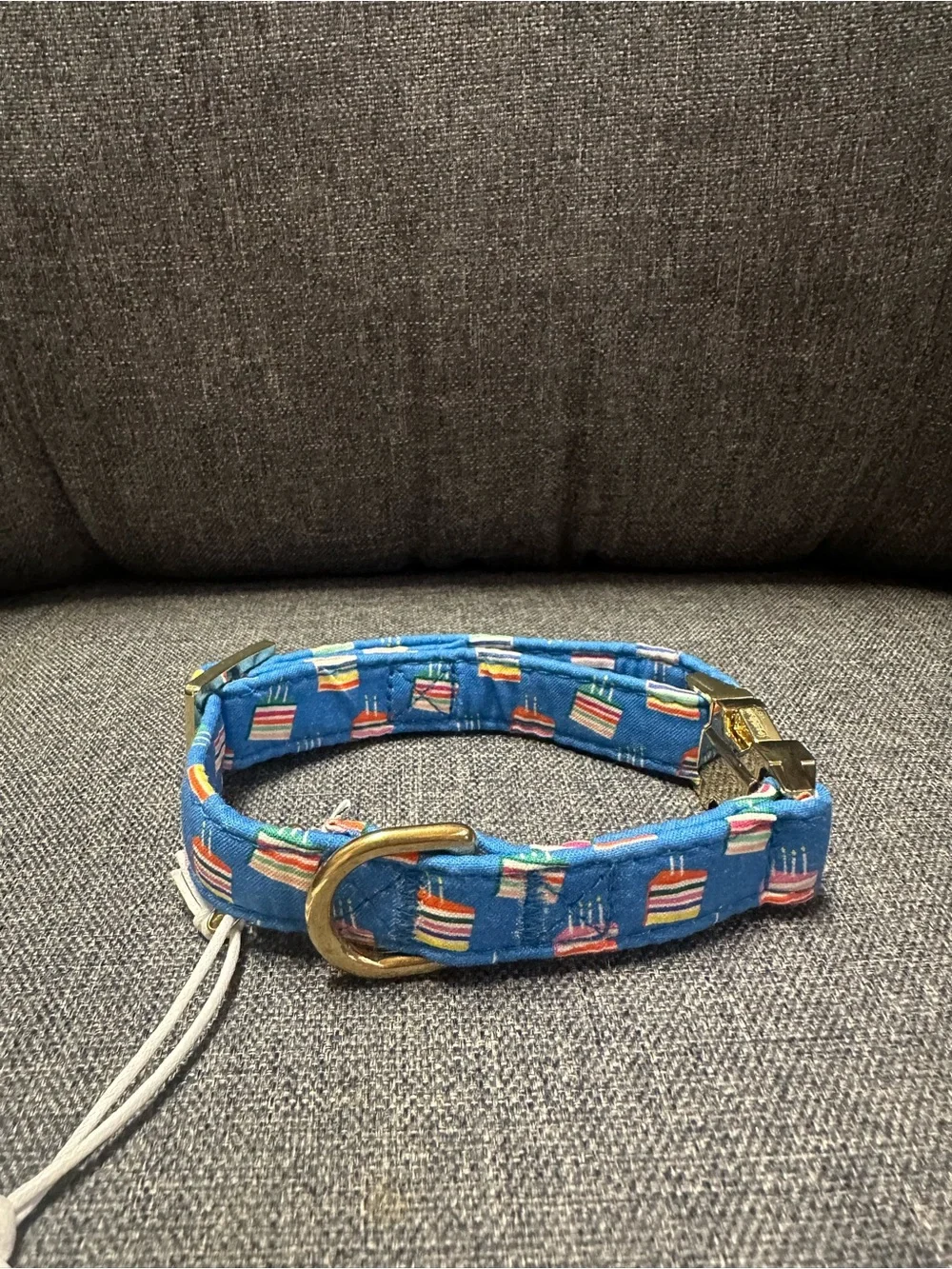 The Foggy Dog Make A Wish Birthday Dog Collar